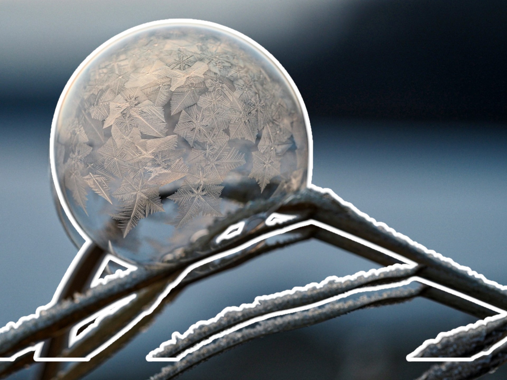 Отправляемся за волшебством: где можно встретить Новый год